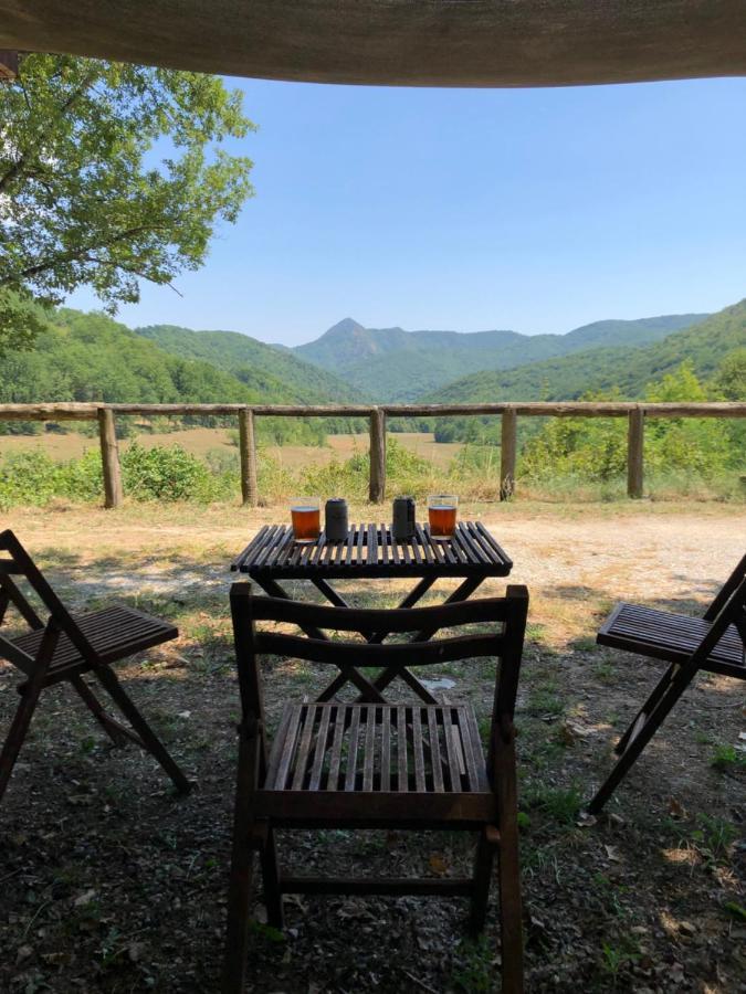 Mas Molladar Solo Adultos Guest House Кампродон Екстериор снимка